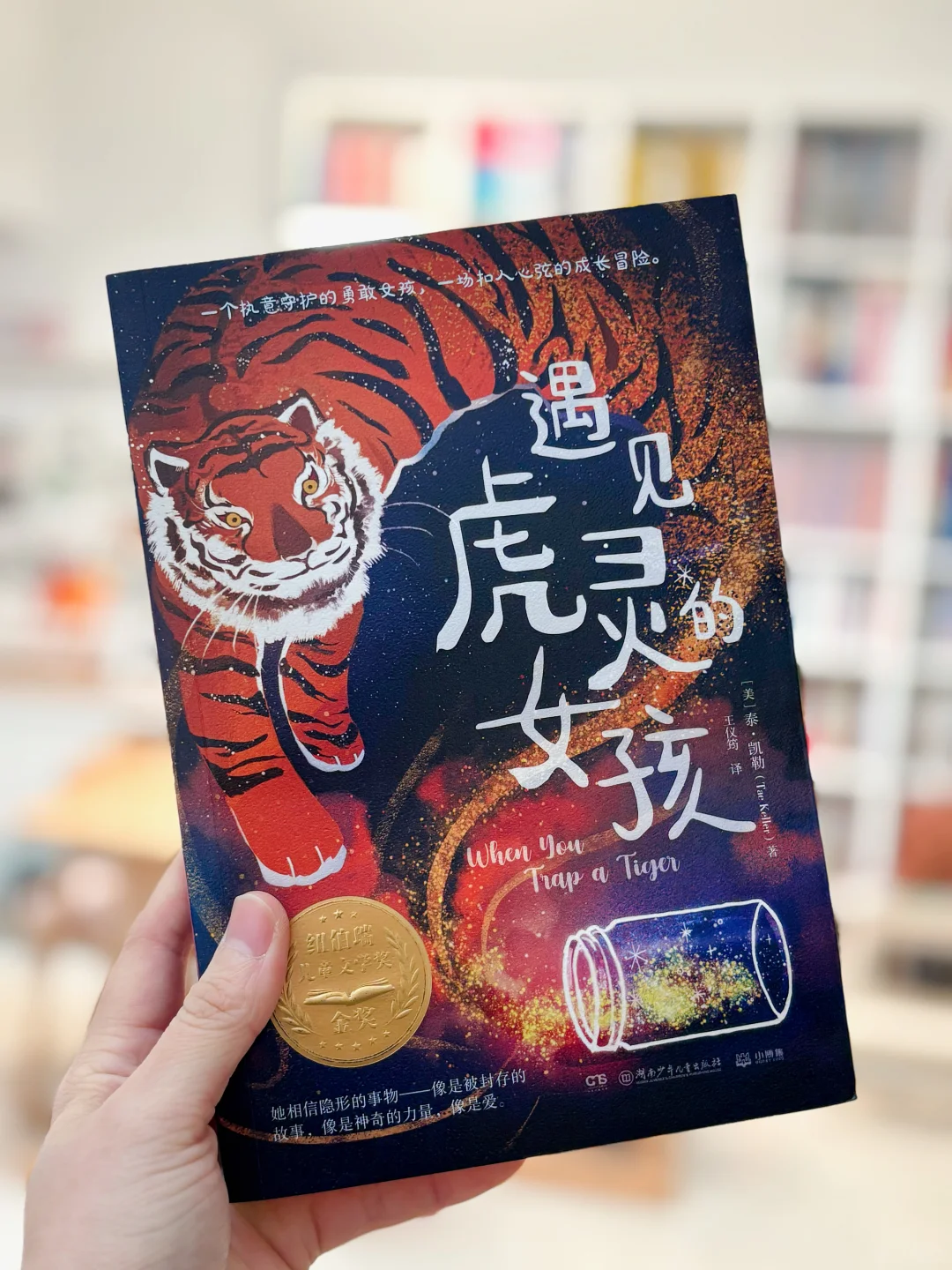 给二三年级精挑细选的儿童文学书单📚