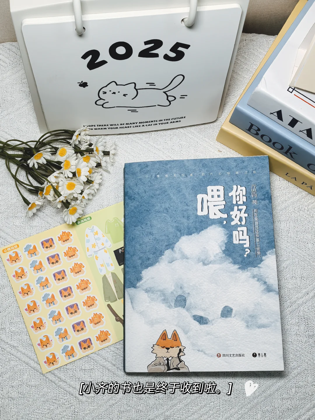 ✨安利小齐的《喂，你好吗》