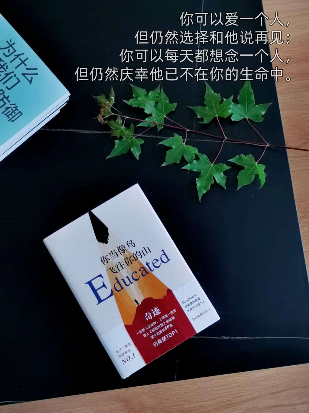 你蕞近在看什么书📖