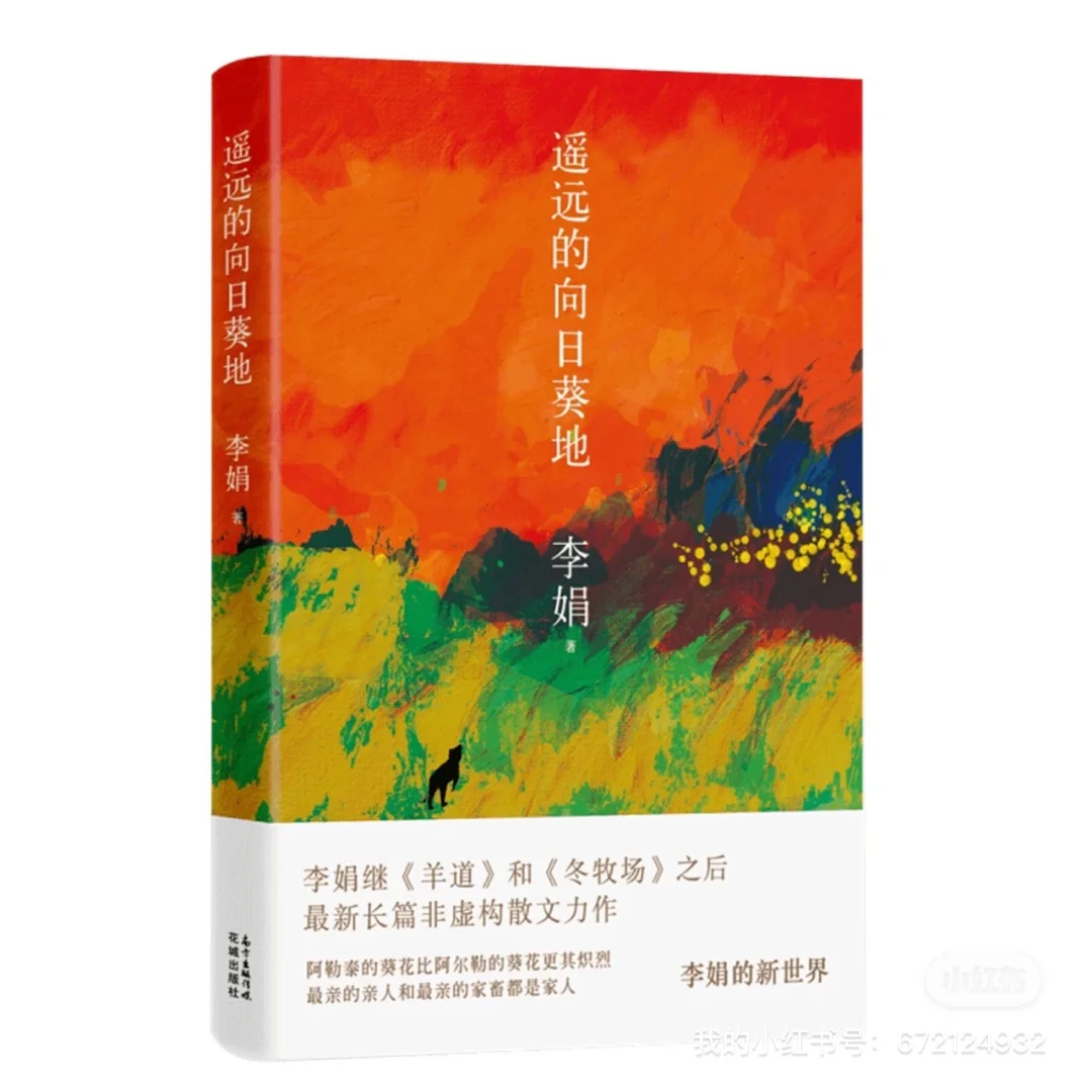 四升五 暑假高质量书单分享