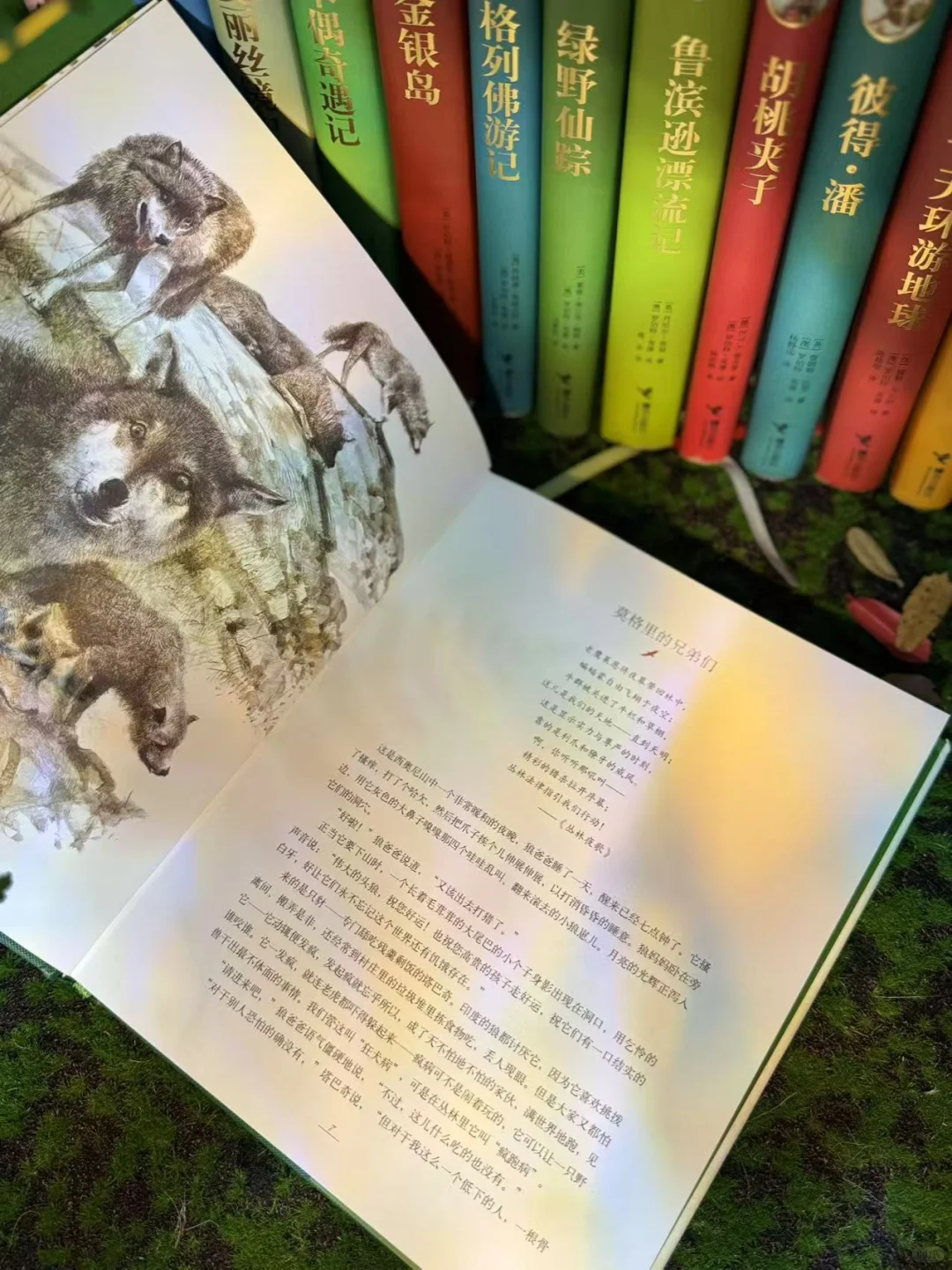 名著名译名绘特装刷边版！儿童文学天花板！