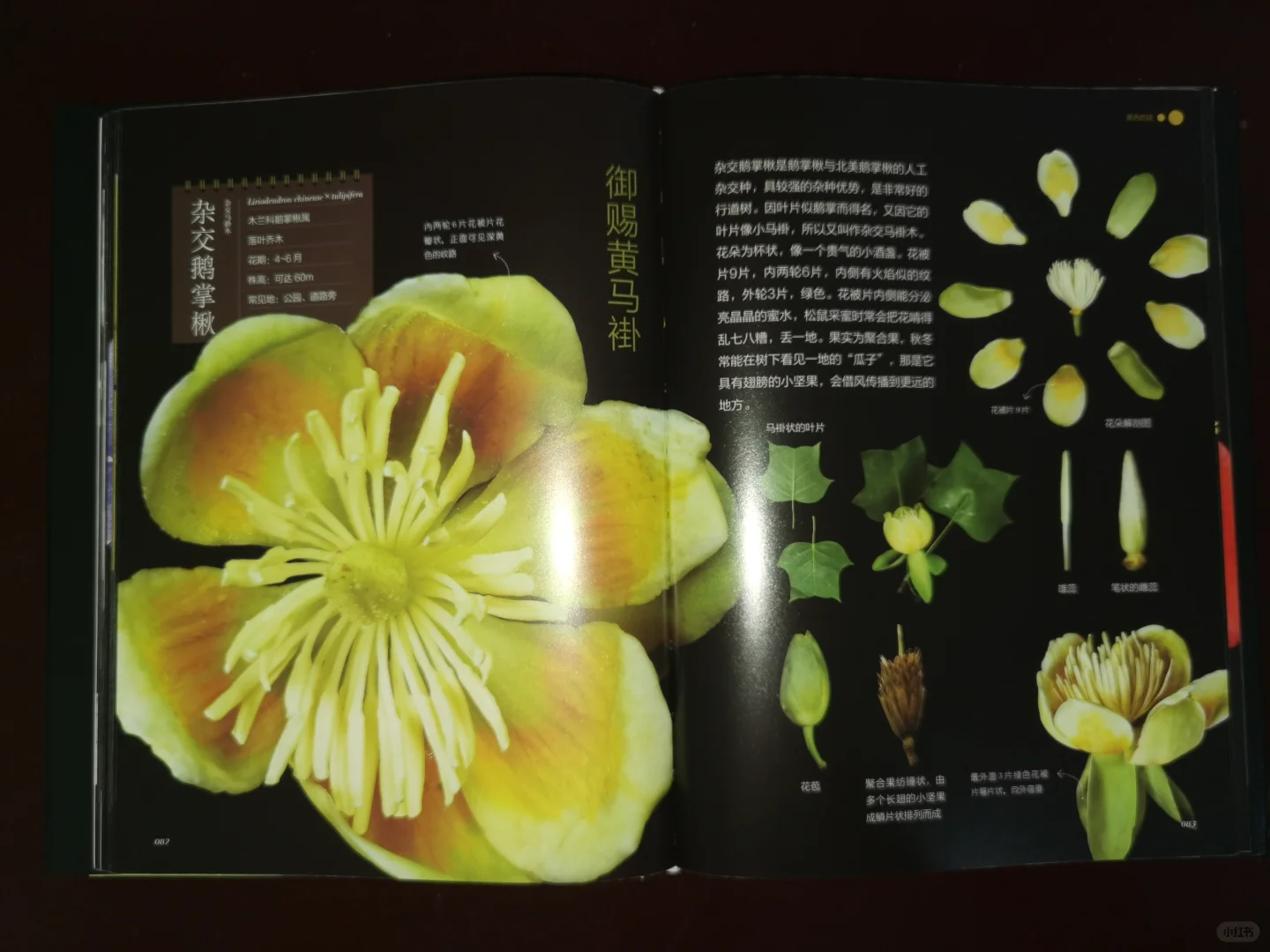 谁来推荐一本关于花花草草的书❓
