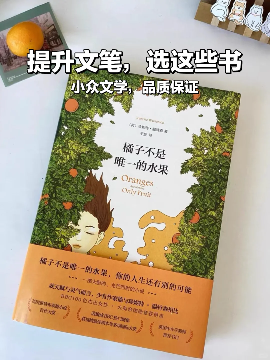 现代文学精选📚提升文笔必备