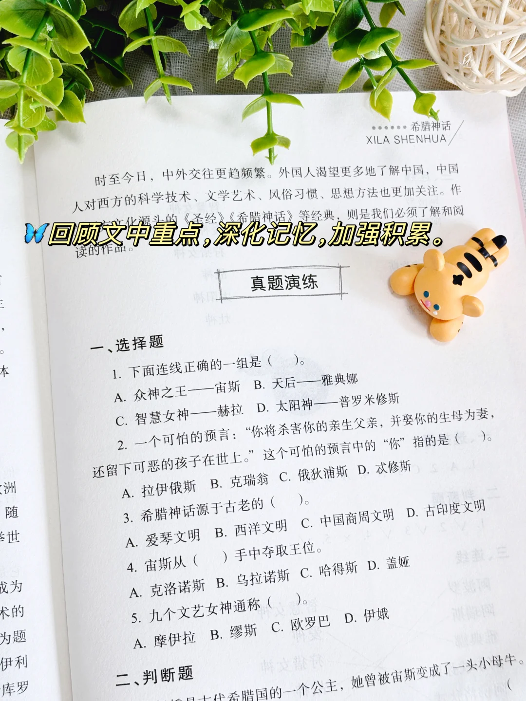 听语文老师的‼️四年级上册指定阅读书