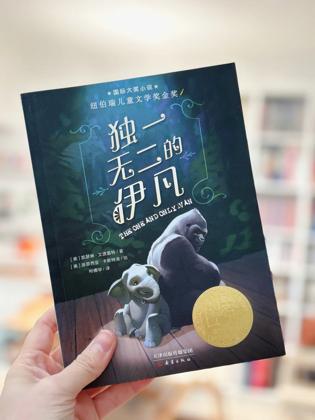 给二三年级精挑细选的儿童文学书单📚