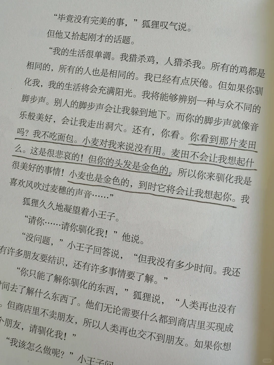 “大人真是奇怪啊。”