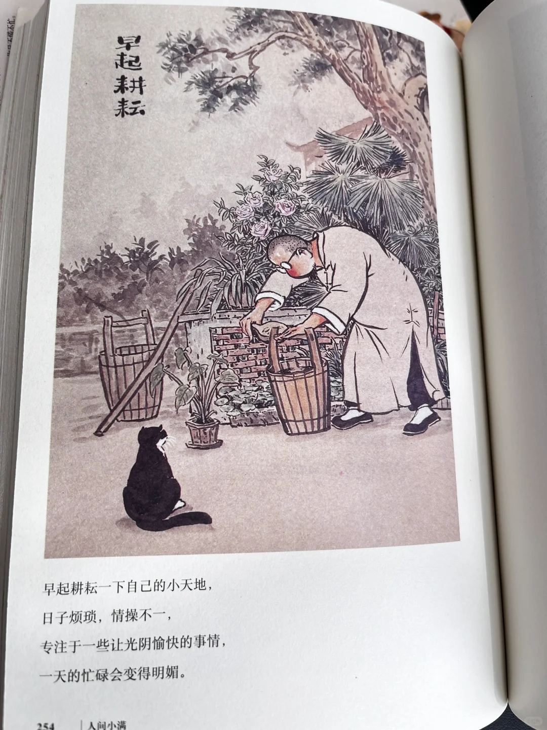 《人间小满》今年看过最温暖、最治愈的书！
