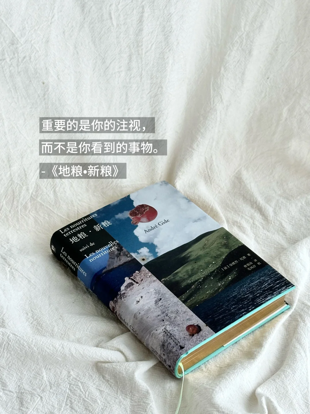 📚6月书单分享