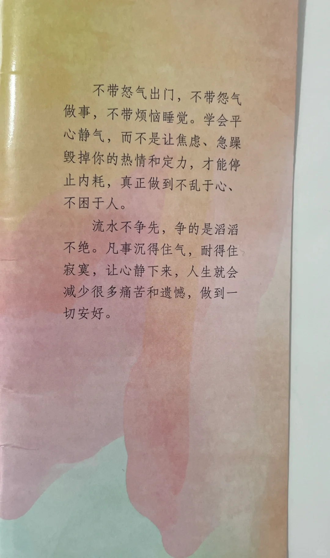 🌿《静心》｜一本让我从浮躁到平静的治愈之书
