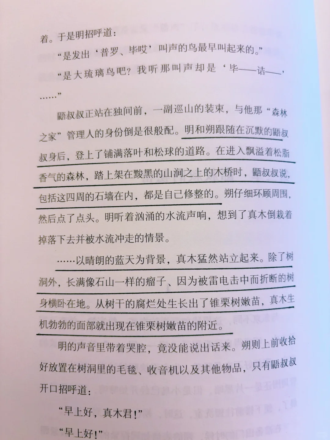 今年蕞震撼我的一部小说，笔力深沉