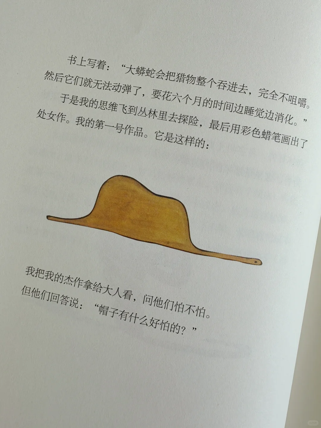 “大人真是奇怪啊。”