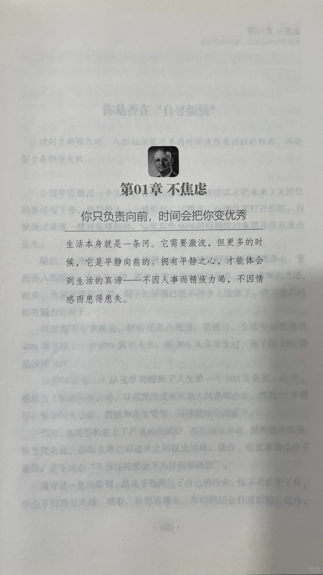 🌿《静心》｜一本让我从浮躁到平静的治愈之书