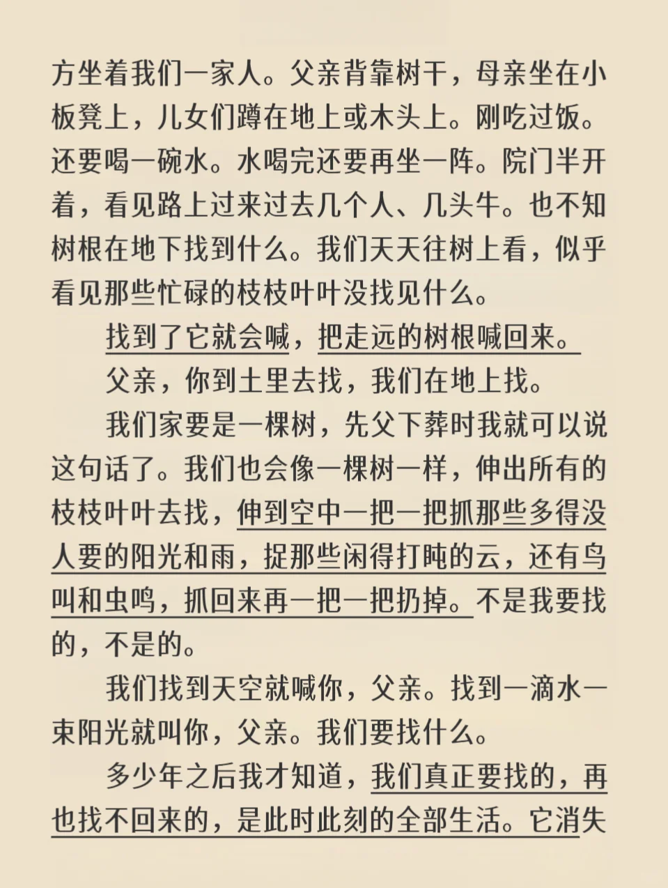 树会记住很多事｜刘亮程