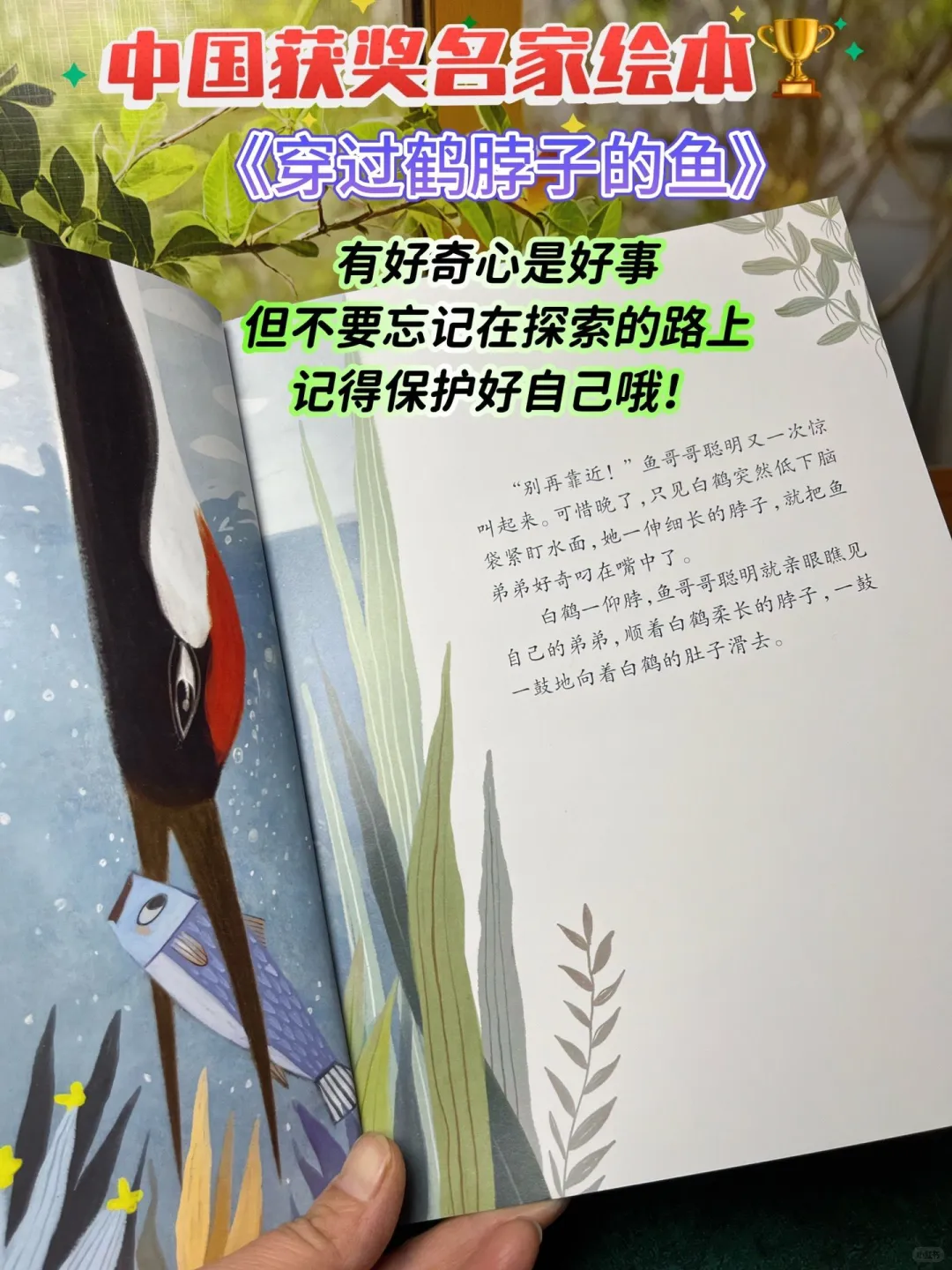 🔥中国名家获奖绘本，培养孩子好性格！