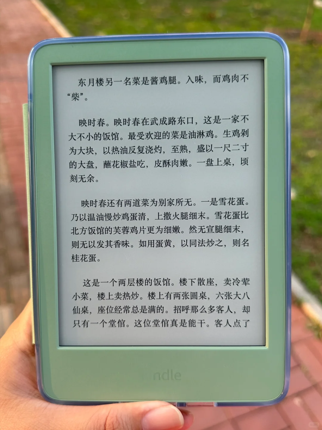 kindle貌美小绿
