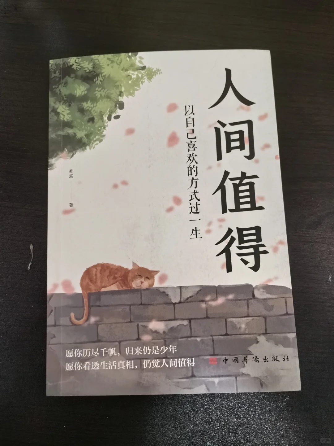 《人间值得》:点亮你的人生角落