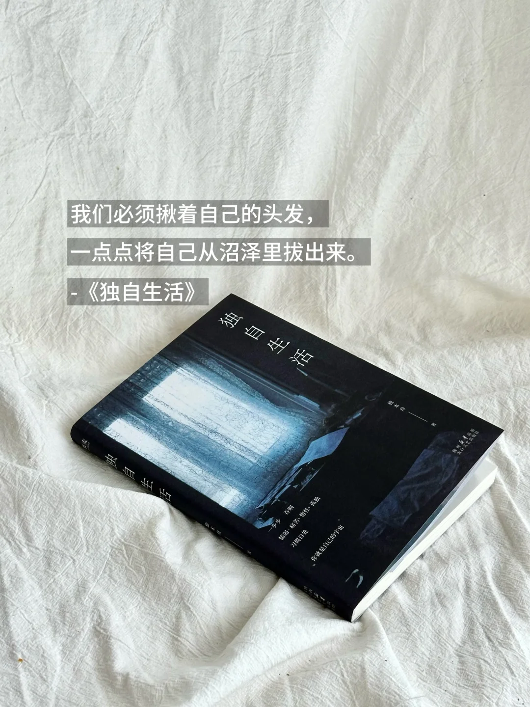 📚6月书单分享