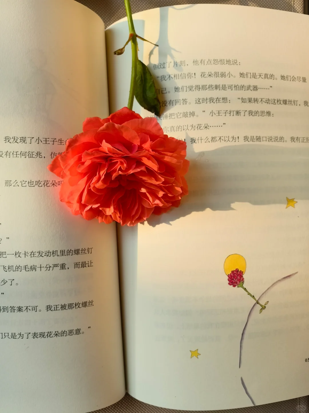 “大人真是奇怪啊。”
