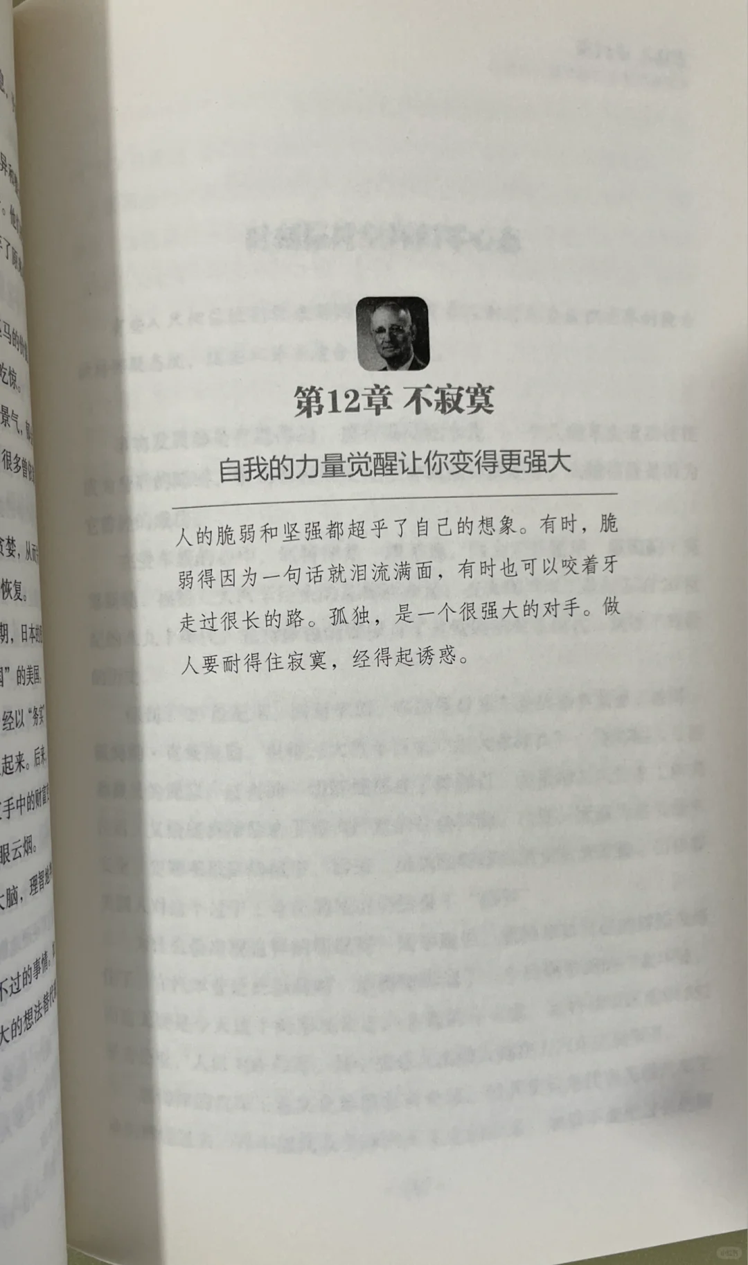 🌿《静心》｜一本让我从浮躁到平静的治愈之书