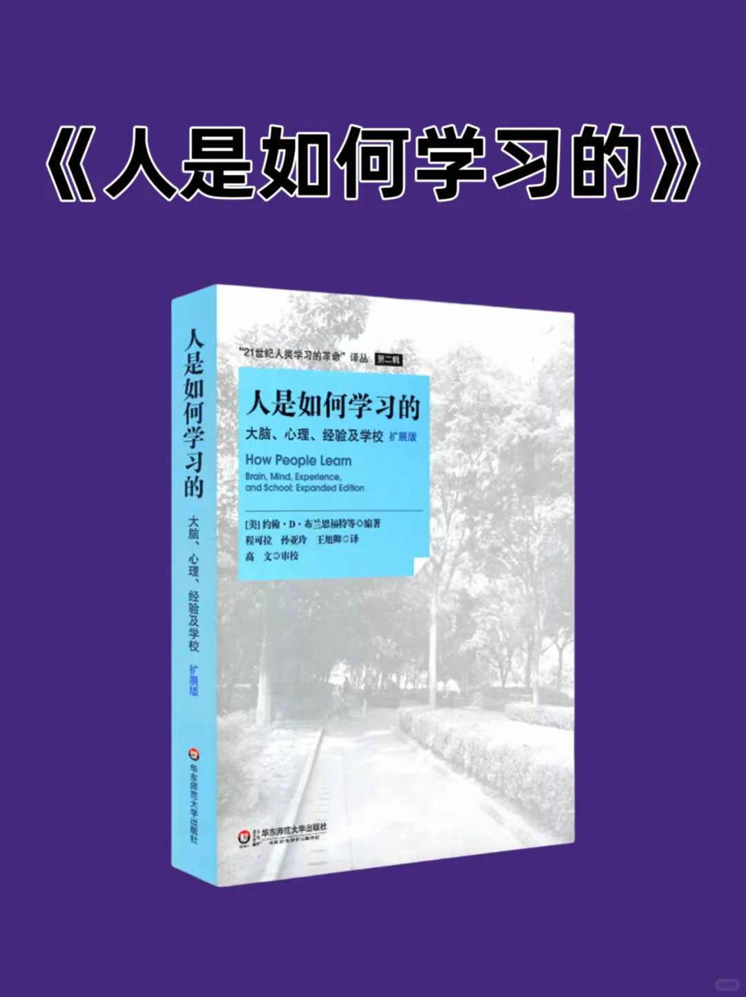 半年内成为专家的6本书
