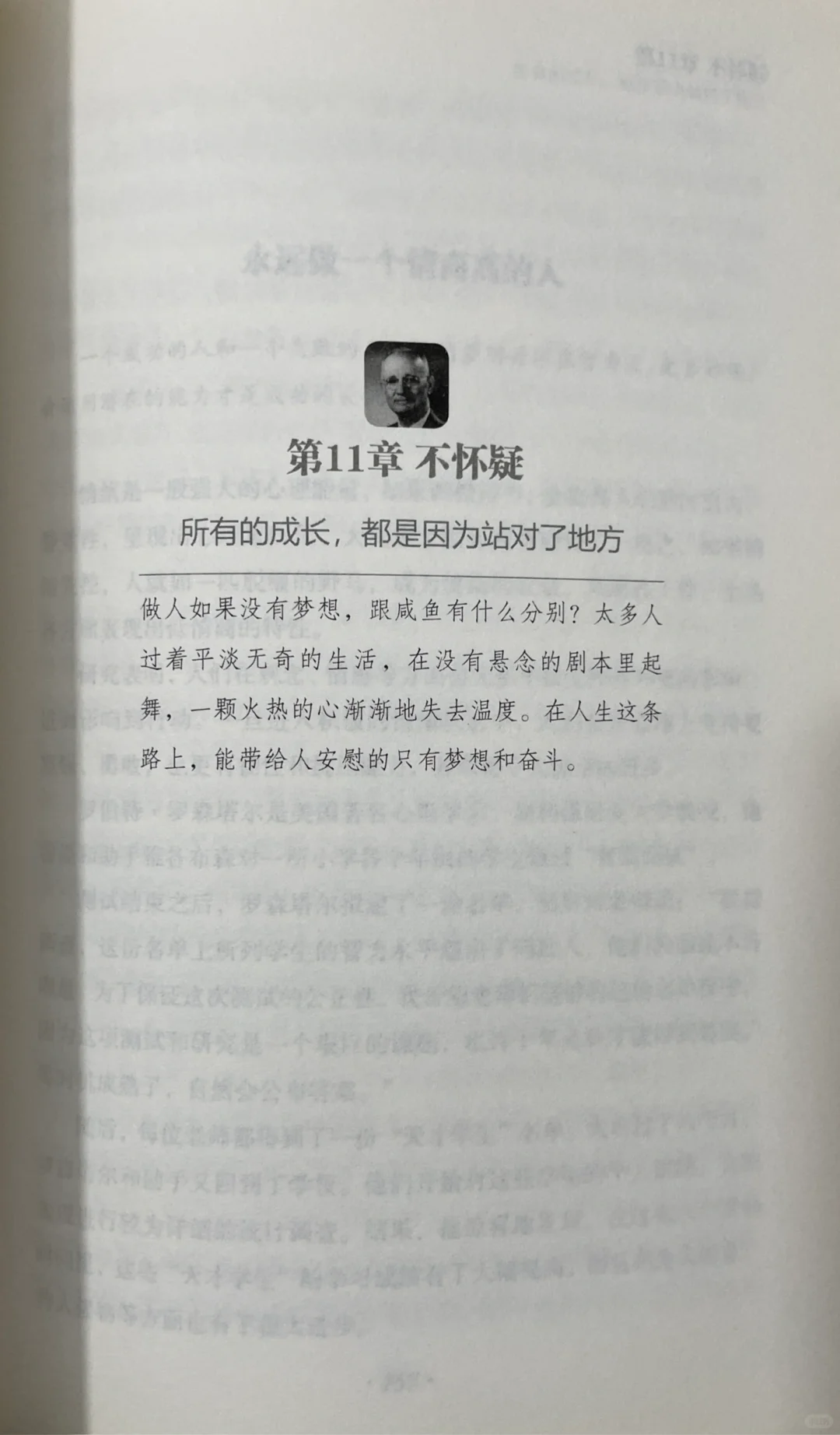 🌿《静心》｜一本让我从浮躁到平静的治愈之书