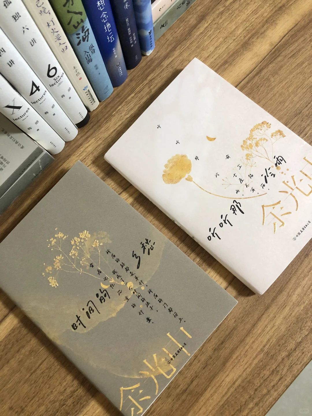 文学书单｜文笔差，读读这些极美的经典书目