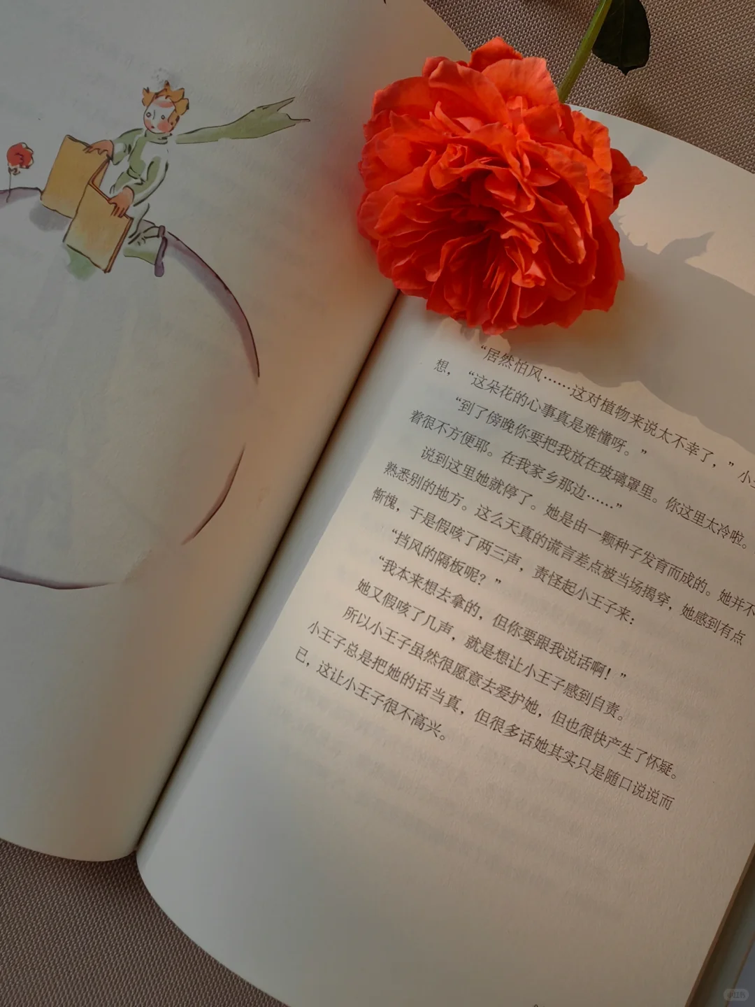 “大人真是奇怪啊。”