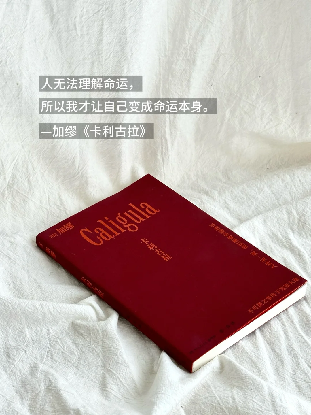 📚6月书单分享