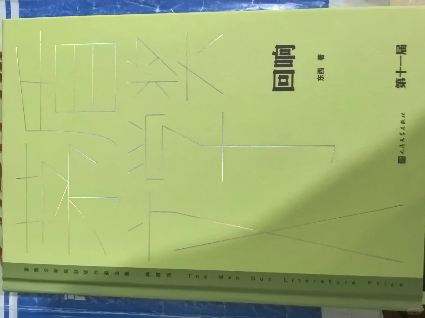 茅盾文学奖作品《回响》东西