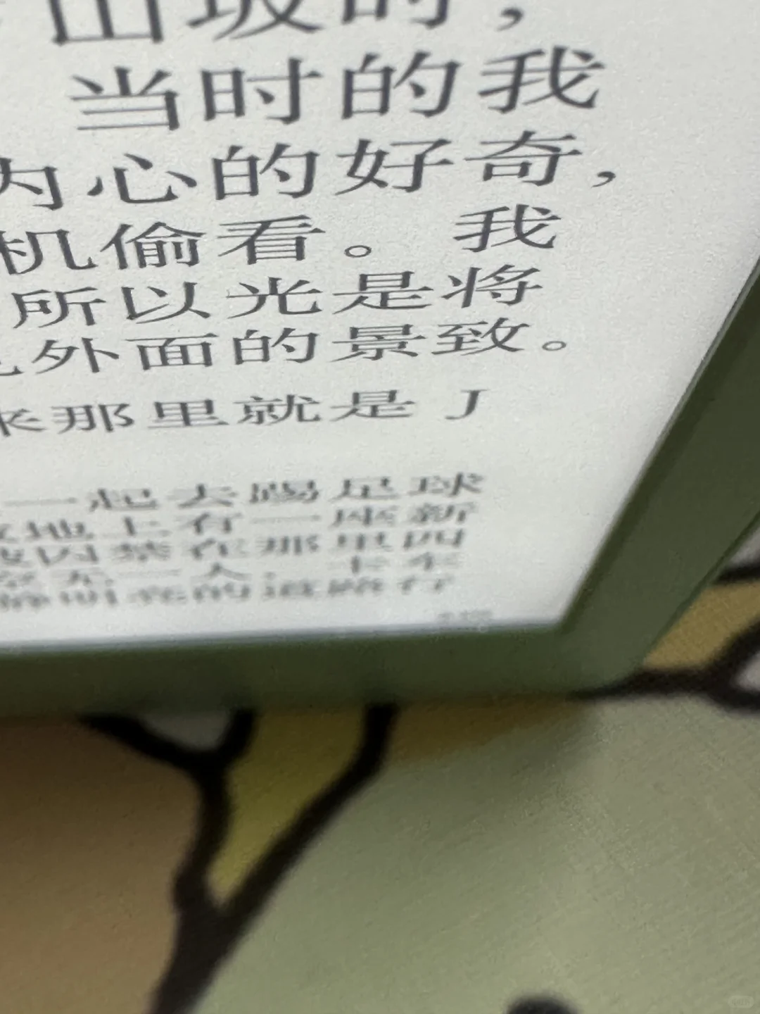 不知哪位高人欲收kindle 2024抹茶绿