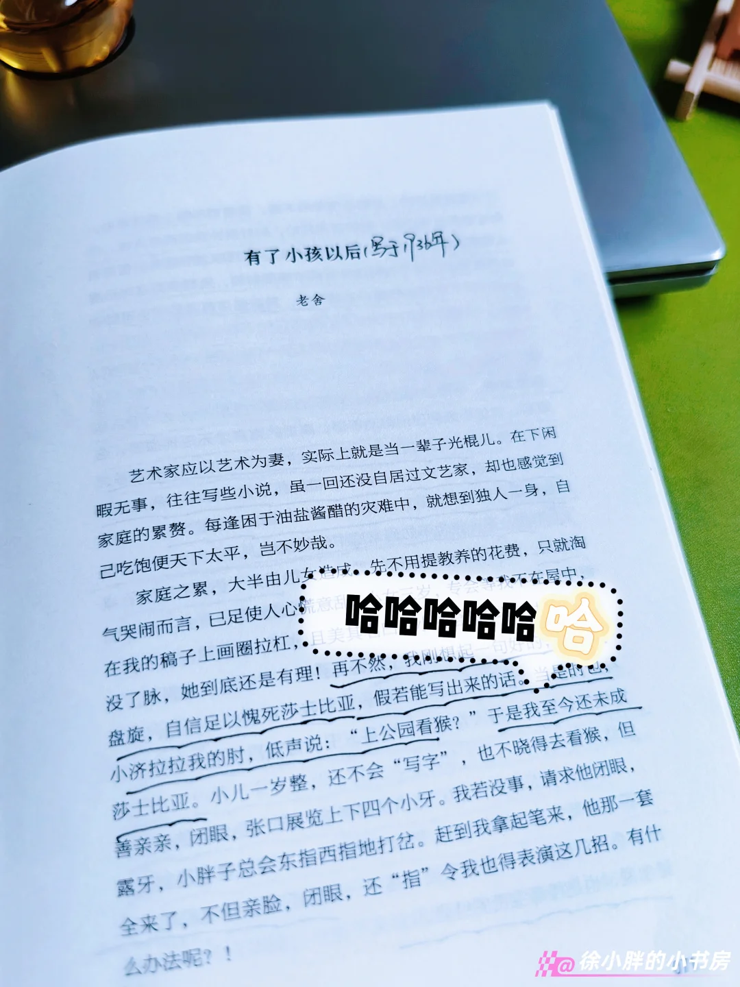 读书笔记||越过人间山水长,归来笑说月微凉