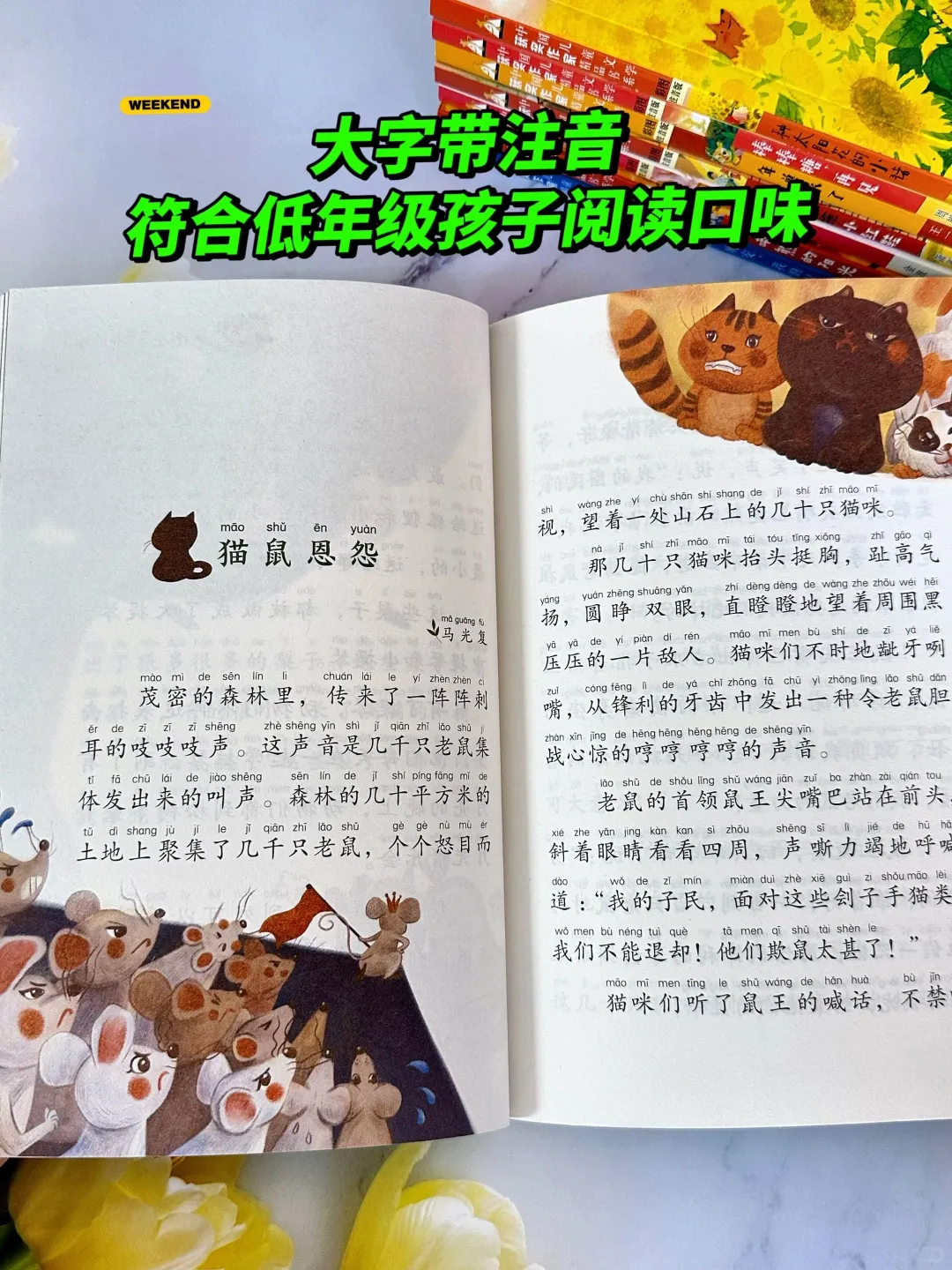 🔥一套专为低年级打造的儿童文学作品‼️