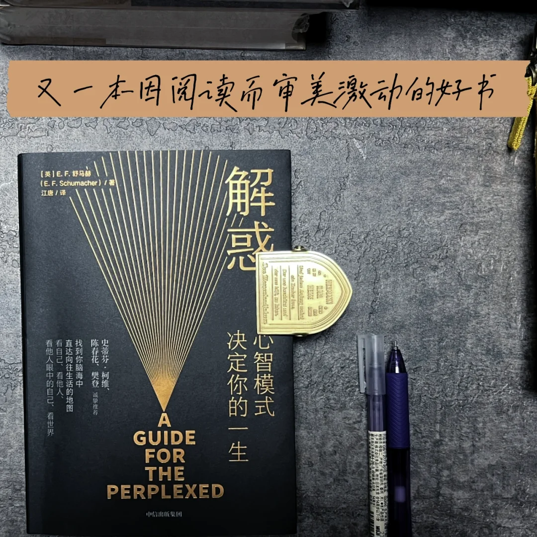 又一本因阅读而审美激动的好书