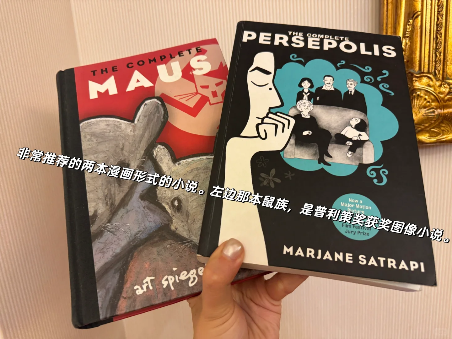 ➗Persepolis 我在伊朗长大 获奖作品