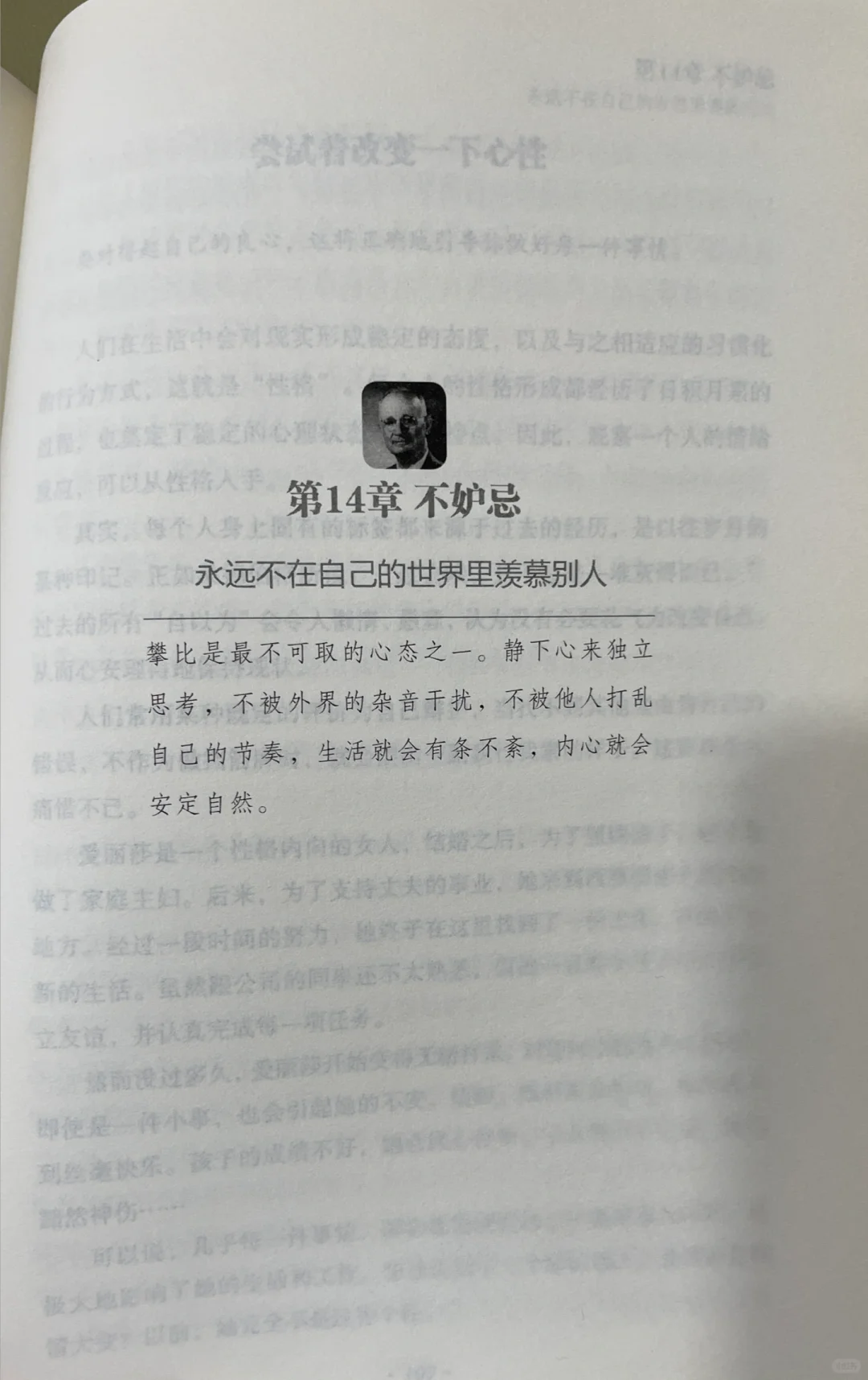 🌿《静心》｜一本让我从浮躁到平静的治愈之书