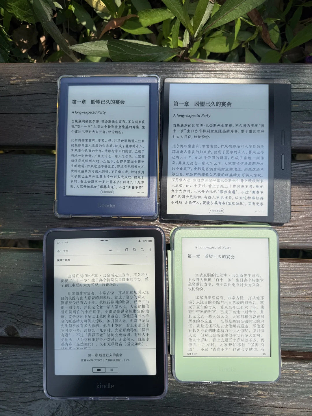 墨水屏成功繁殖