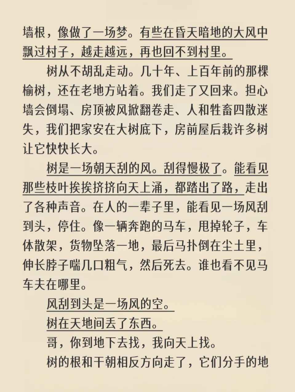 树会记住很多事｜刘亮程