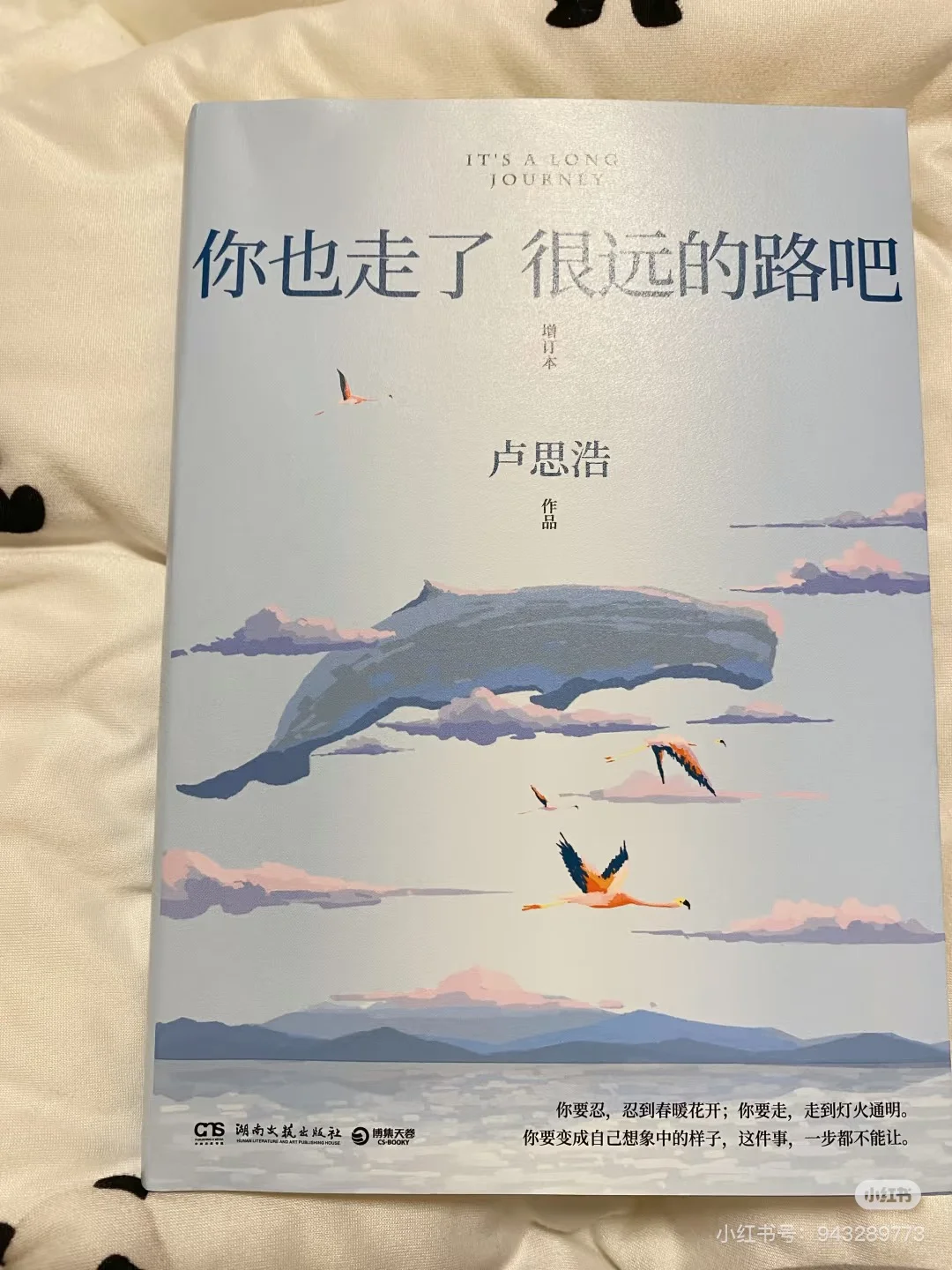 《你也走了 很远的路吧》