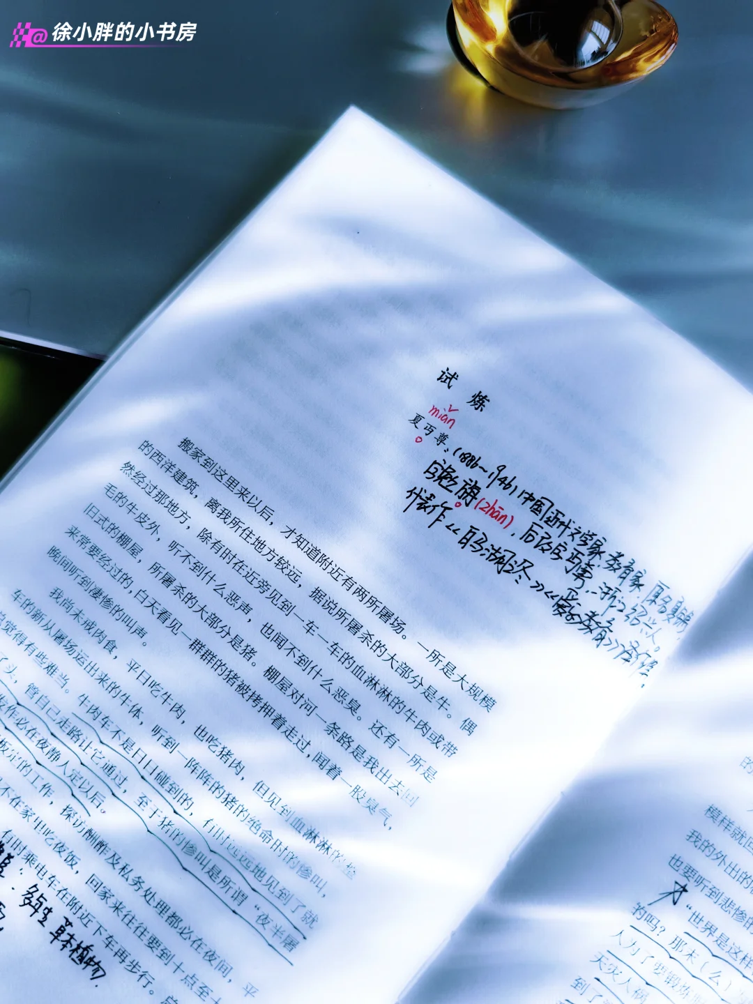 读书笔记||越过人间山水长,归来笑说月微凉
