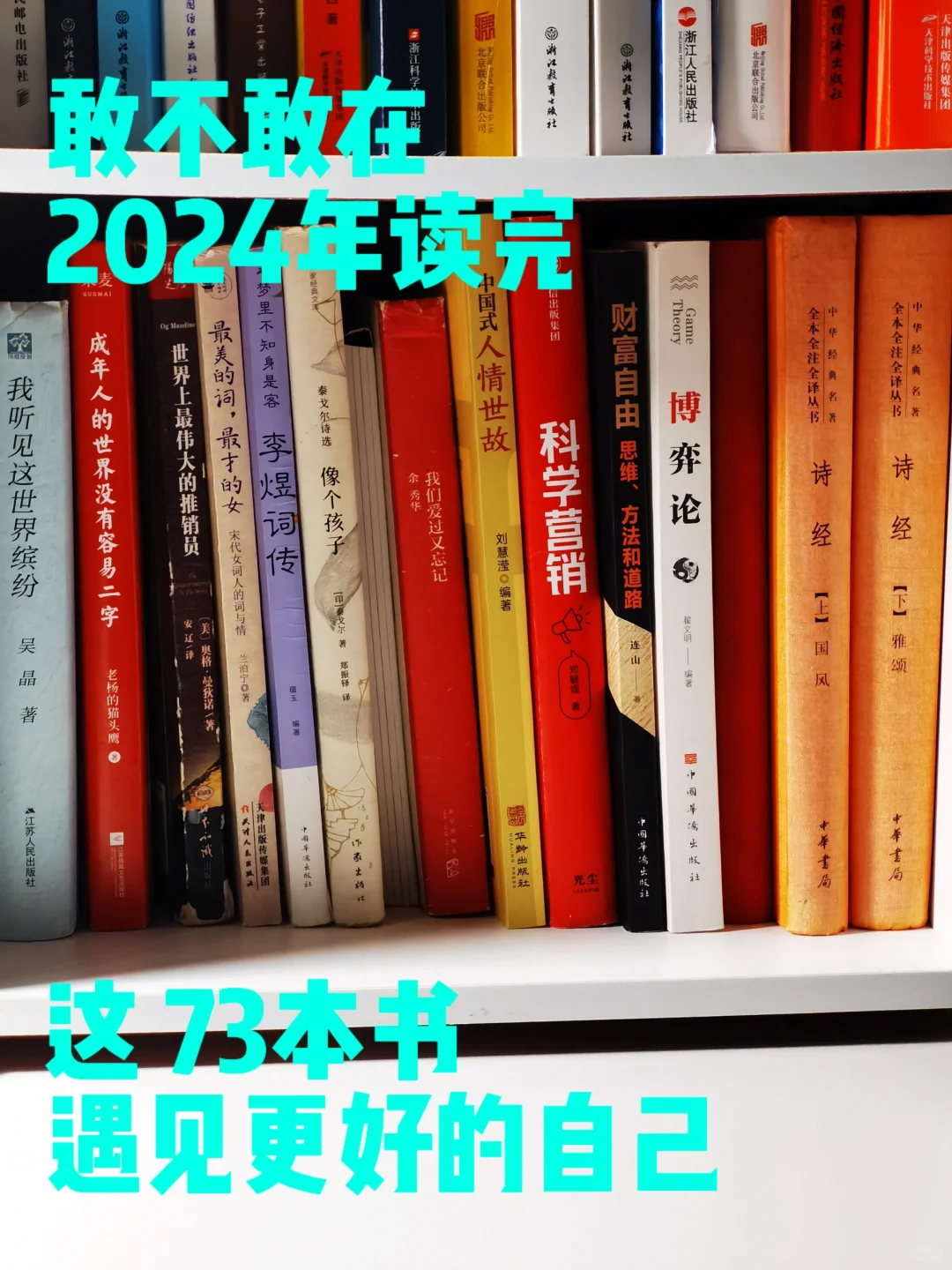 码住慢慢看❗｜我的书单推荐｜年度书单📚