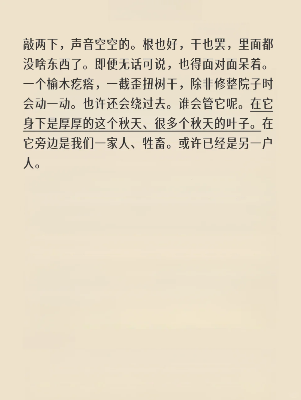 树会记住很多事｜刘亮程