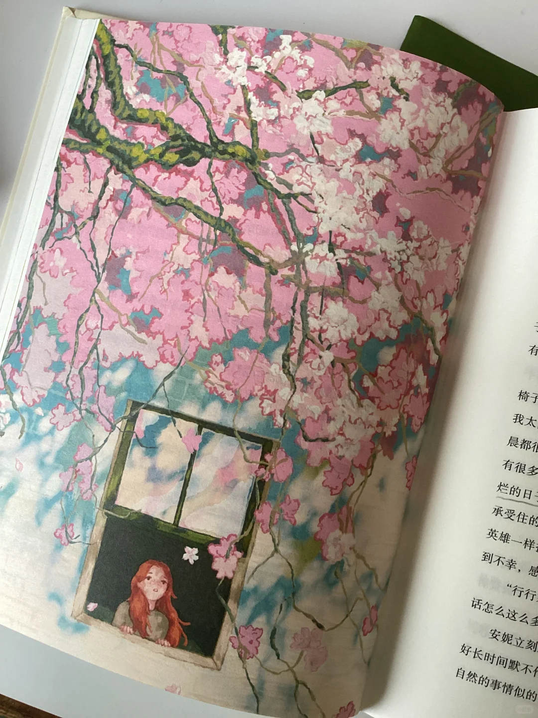 一本任何年龄都拒绝不了的书！