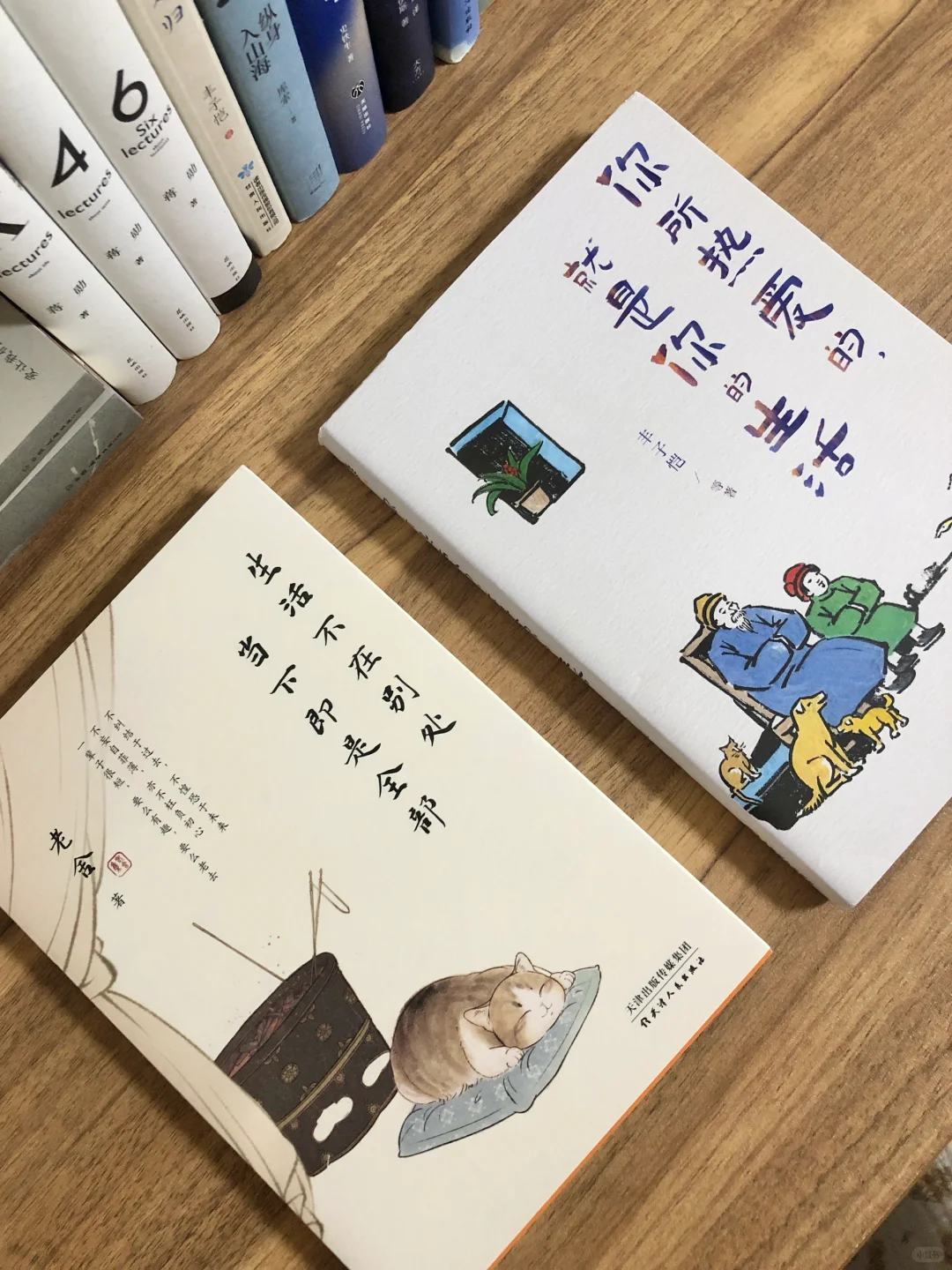 文学书单｜文笔差，读读这些极美的经典书目