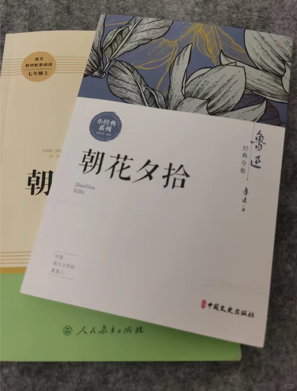 温馨的回忆与理性的批判｜《朝花夕拾》