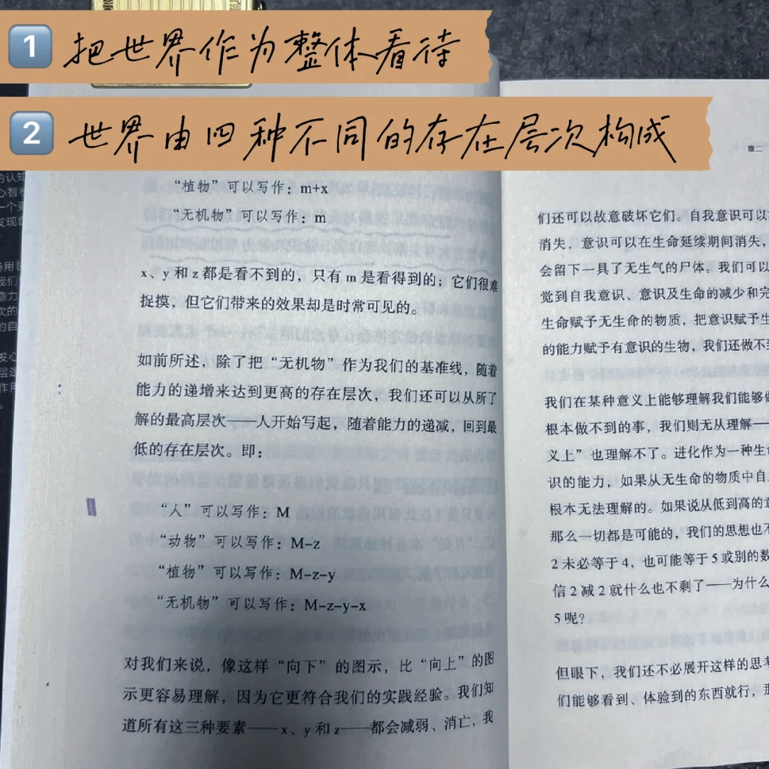 又一本因阅读而审美激动的好书