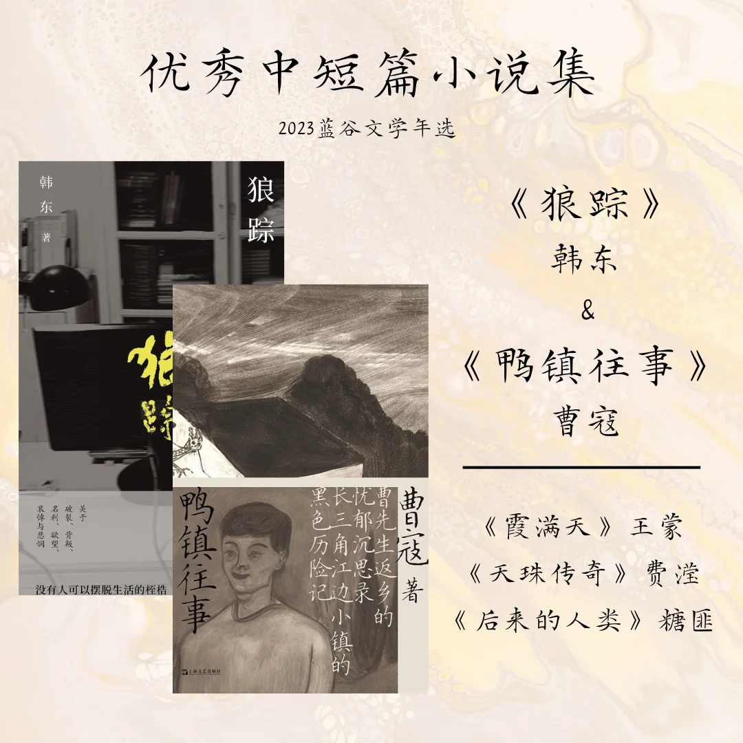 2023年度华语文学私人盘点