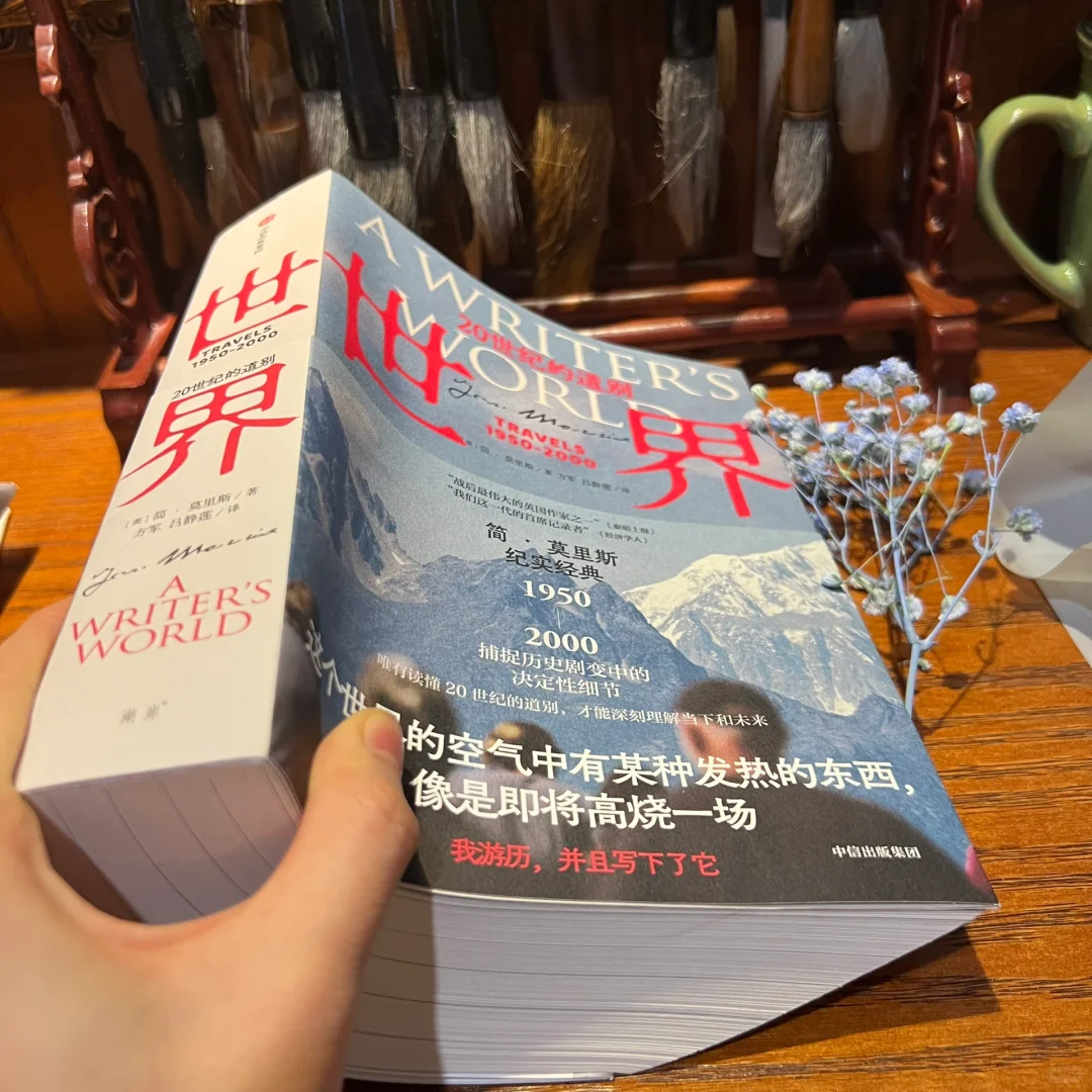 震撼❗️几乎是跪着读完的这本书😭《世界》