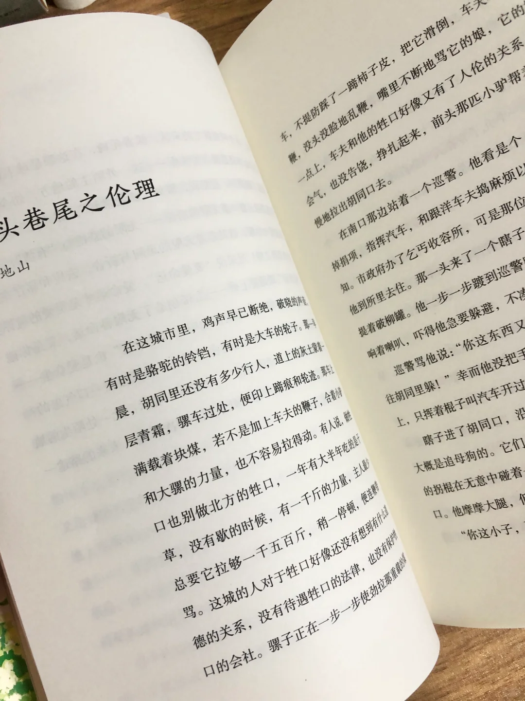 文学书单｜文笔差，读读这些极美的经典书目