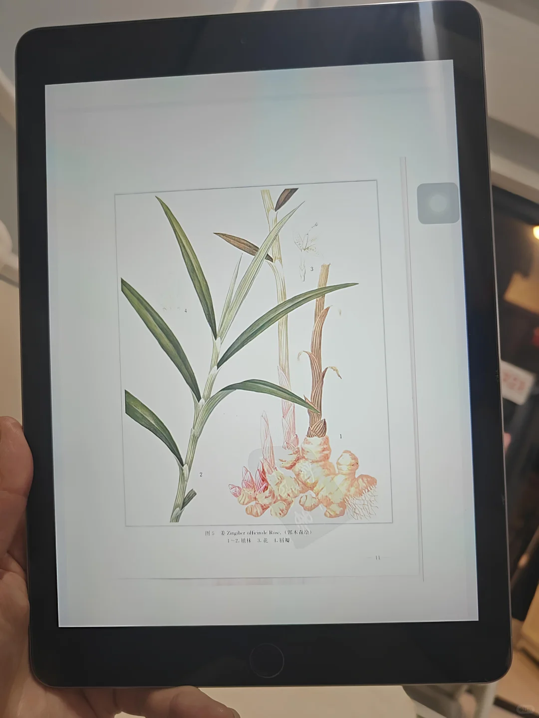 电子书这么简单就自由了，你们是真不看啊？
