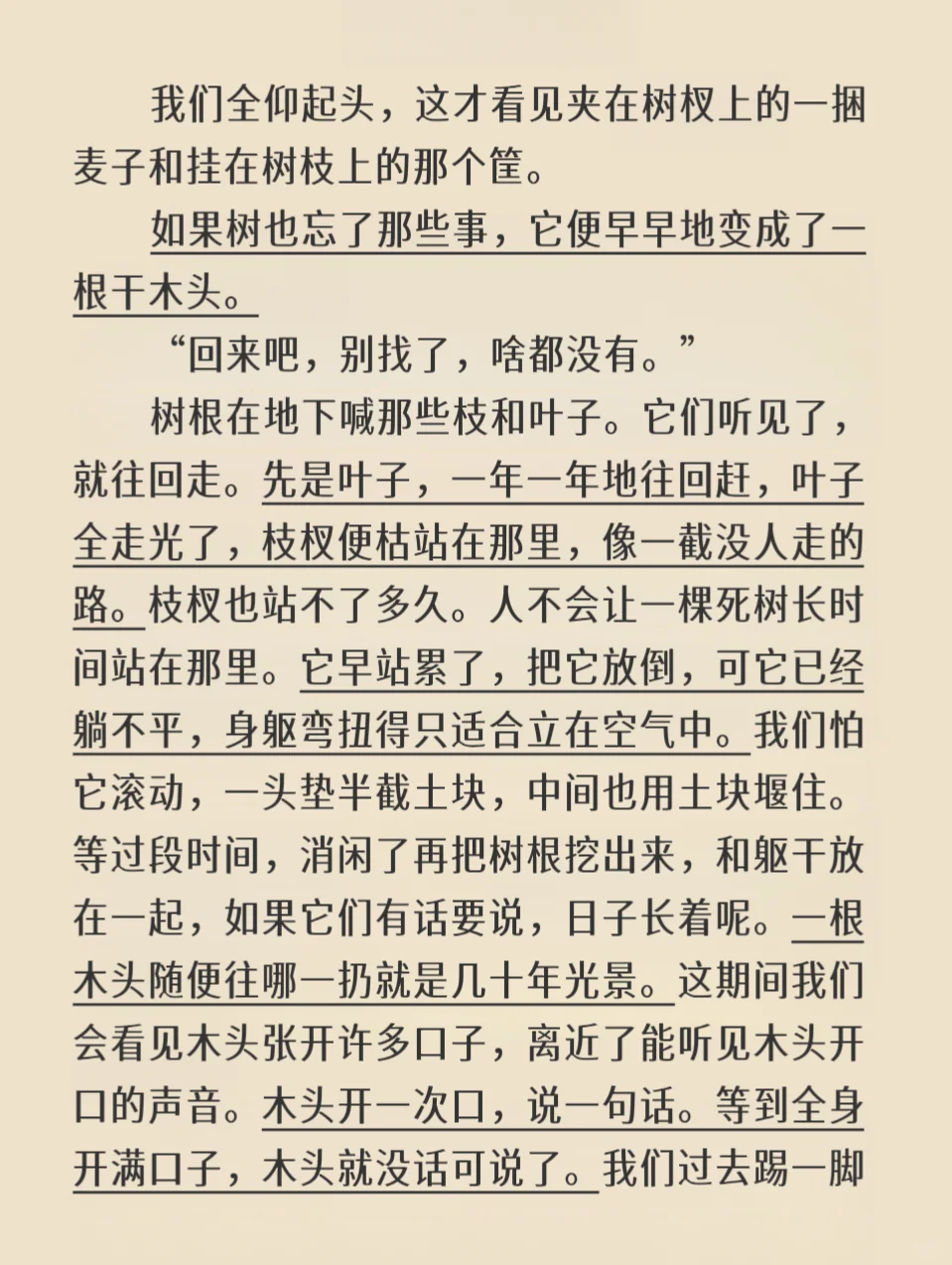 树会记住很多事｜刘亮程